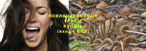 мет Кинешма
