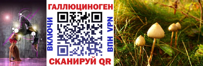 Псилоцибиновые грибы прущие грибы  Великий Новгород 